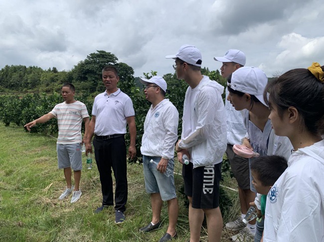 實(shí)踐隊(duì)在村主任伍玉炎帶領(lǐng)下參觀贛南臍橙種植園。福建船政交通職業(yè)學(xué)院供圖